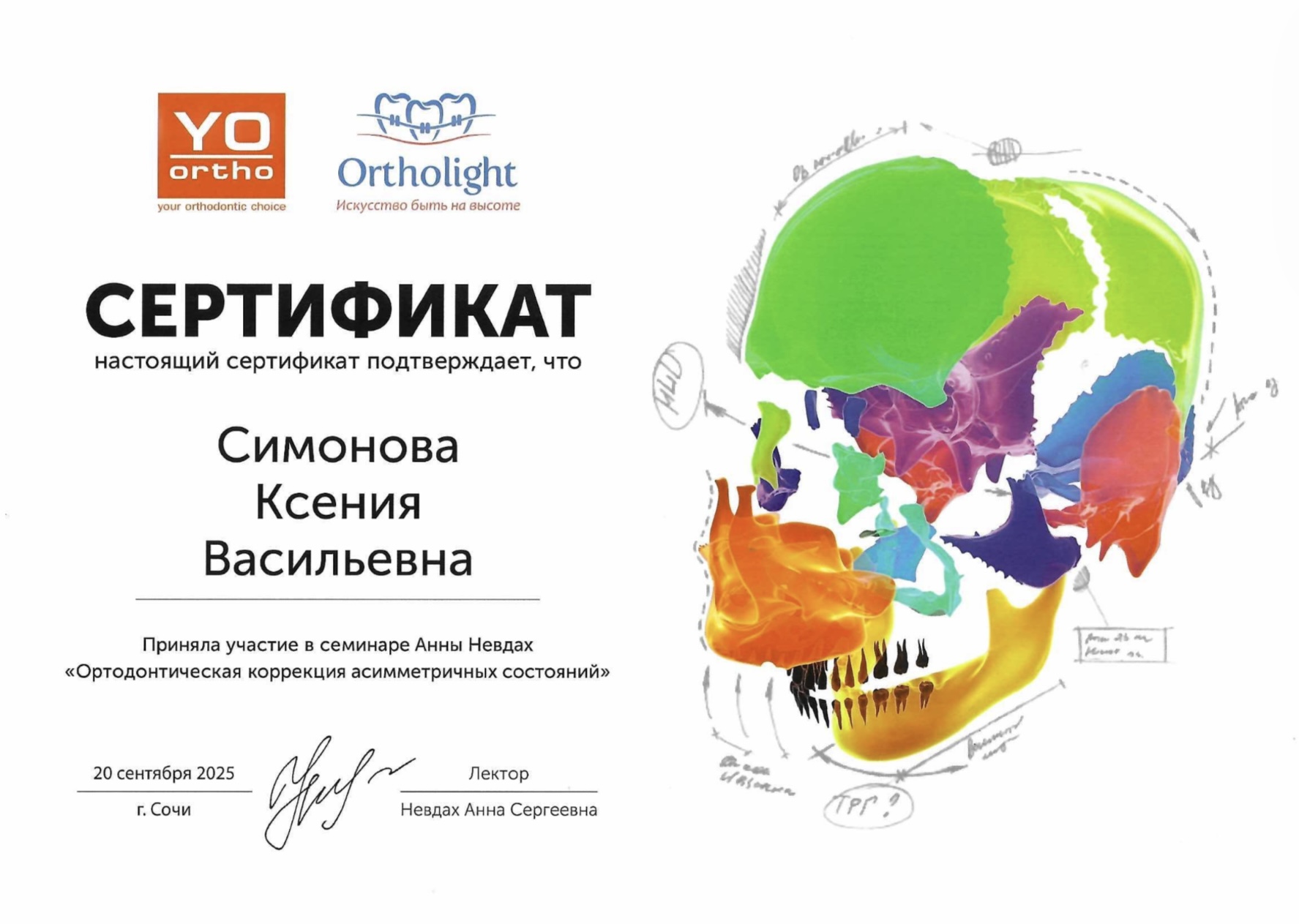 Сертификат Симонова Ксения Васильевна, 3